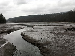 a view of Burrard inlet low tide from a platformed pathway