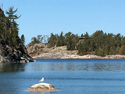 a large seagull standing on a large boulder in the water by one of the lake Superior beaches