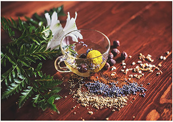 transparent cup of herbal tea with camomile surrounded by medicinal herbs on wooden table